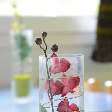 Roi Soleil Strasbourg